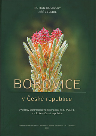 Borovice v České republice