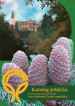 Katalog jehličin