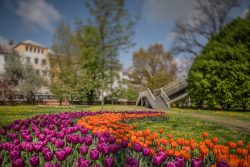 Jarní Flora Olomouc