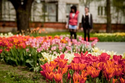 Jarní Flora Olomouc / fotogalerie / Důvody12