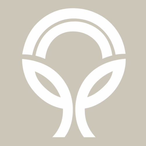 Zástupný symbol