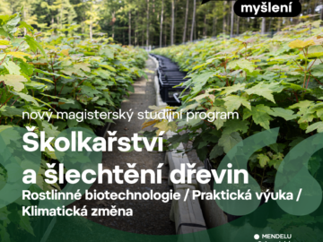 Lesnická a dřevařská fakulta otevírá profesní studijní magisterský program Školkařství a šlechtění dřevin