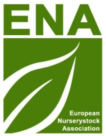 ENA Summer Meeting 2025