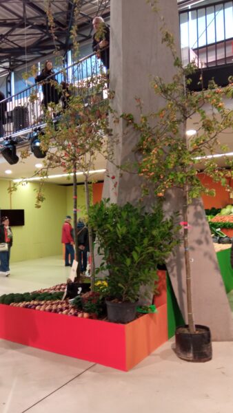 Malé ohlédnutí za 30.ročníkem Podzimní Flory Olomouc – Hortikomplex / fotogalerie / IMG 20251002 120823