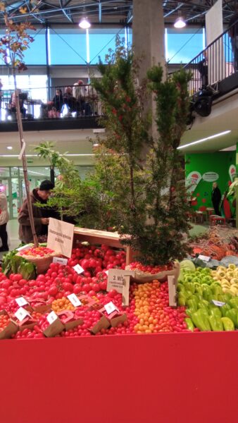 Malé ohlédnutí za 30.ročníkem Podzimní Flory Olomouc – Hortikomplex / fotogalerie / IMG 20251002 120836