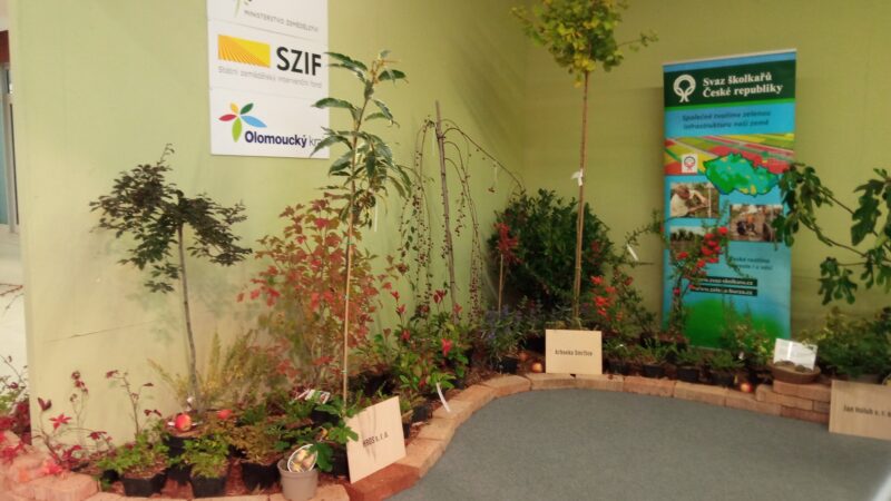 Malé ohlédnutí za 30.ročníkem Podzimní Flory Olomouc – Hortikomplex / fotogalerie / IMG 20251002 121003
