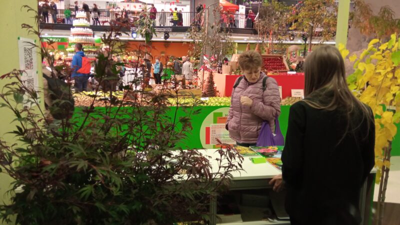 Malé ohlédnutí za 30.ročníkem Podzimní Flory Olomouc – Hortikomplex / fotogalerie / IMG 20251002 121453