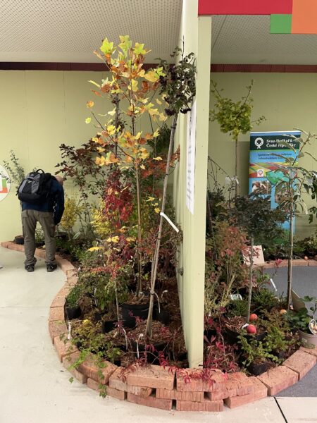 Malé ohlédnutí za 30.ročníkem Podzimní Flory Olomouc – Hortikomplex / fotogalerie / IMG 3063