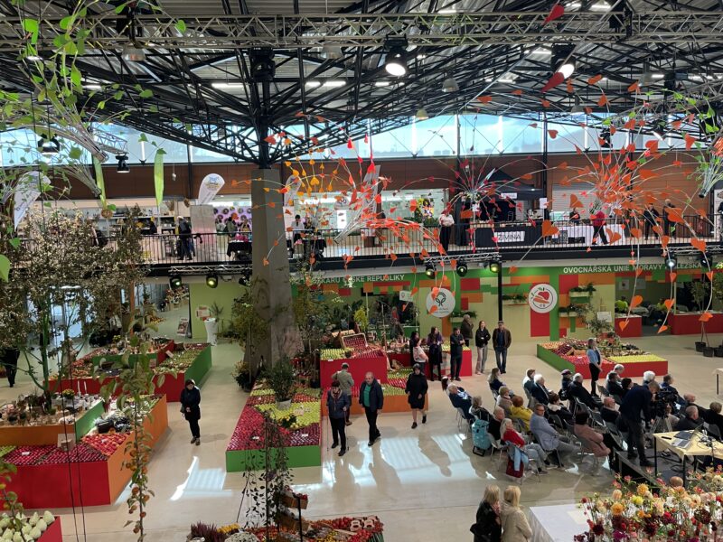 Malé ohlédnutí za 30.ročníkem Podzimní Flory Olomouc – Hortikomplex / fotogalerie / IMG 3066