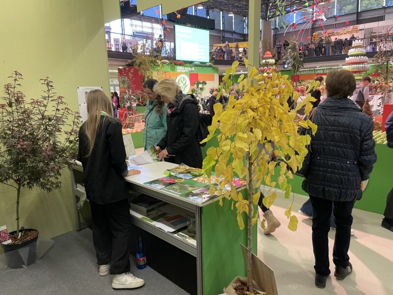 Malé ohlédnutí za 30.ročníkem Podzimní Flory Olomouc – Hortikomplex / fotogalerie / IMG 3074
