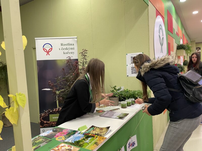 Malé ohlédnutí za 30.ročníkem Podzimní Flory Olomouc – Hortikomplex / fotogalerie / IMG 3080