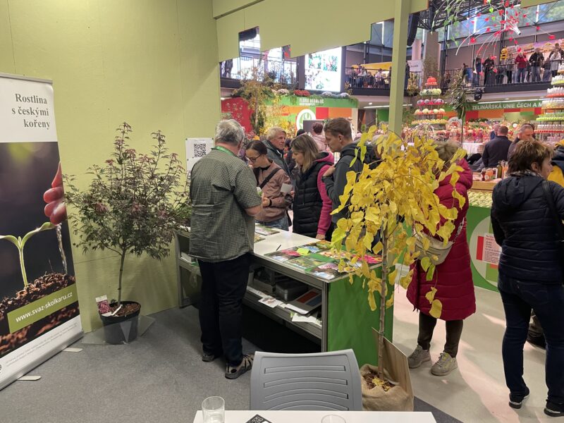 Malé ohlédnutí za 30.ročníkem Podzimní Flory Olomouc – Hortikomplex / fotogalerie / IMG 3095