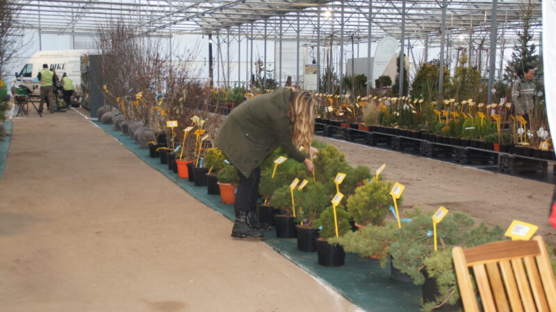 Zelená burza on-line: do 31.1.2026 / fotogalerie / SONY DSC