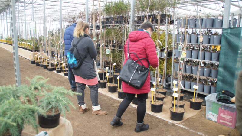 Zelená burza on-line: do 31.1.2026 / fotogalerie / SONY DSC