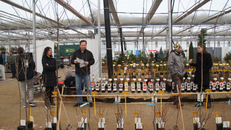 Zelená burza on-line: do 31.1.2026 / fotogalerie / SONY DSC