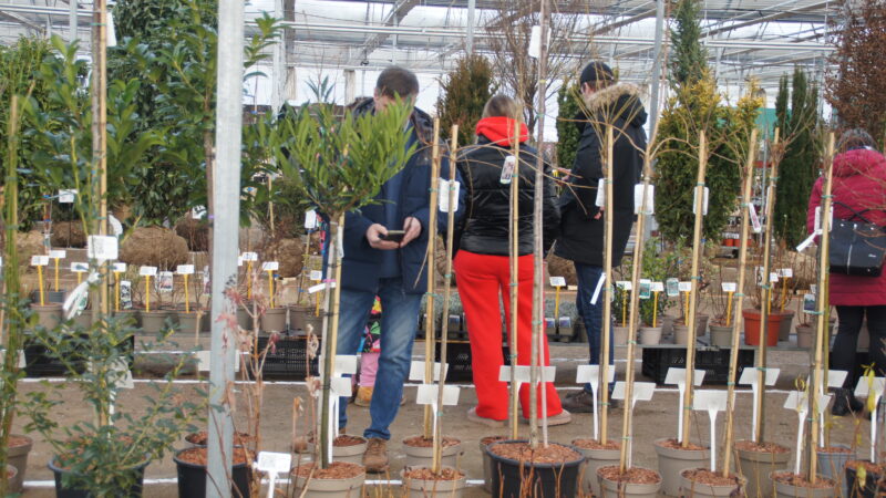 Zelená burza on-line: do 31.1.2026 / fotogalerie / SONY DSC