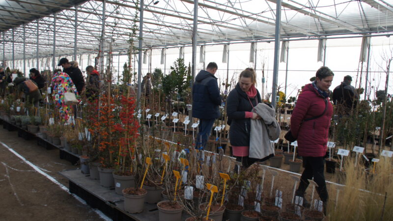 Zelená burza on-line: do 31.1.2026 / fotogalerie / SONY DSC