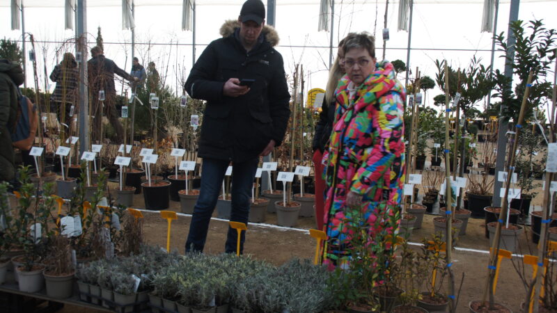 Zelená burza on-line: do 31.1.2026 / fotogalerie / SONY DSC