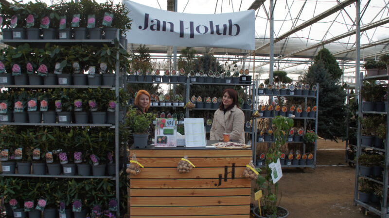 Zelená burza on-line: do 31.1.2026 / fotogalerie / SONY DSC