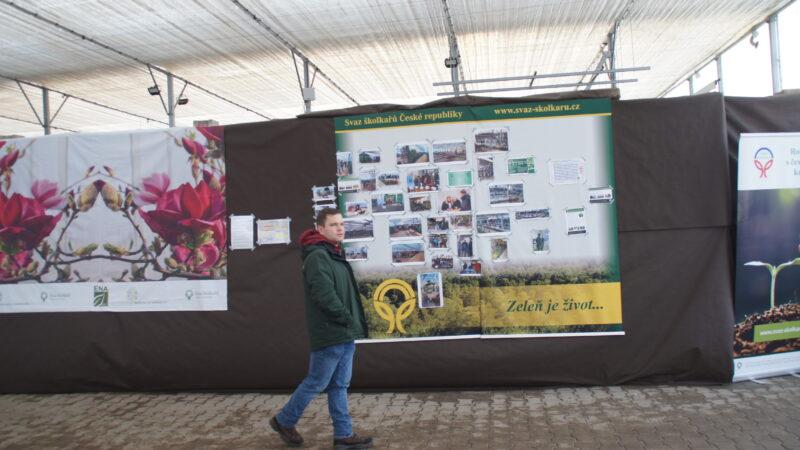 Zelená burza on-line: do 31.1.2026 / fotogalerie / SONY DSC