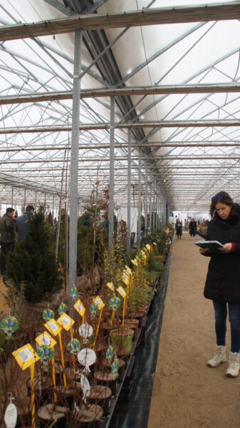 Zelená burza on-line: do 31.1.2026 / fotogalerie / SONY DSC