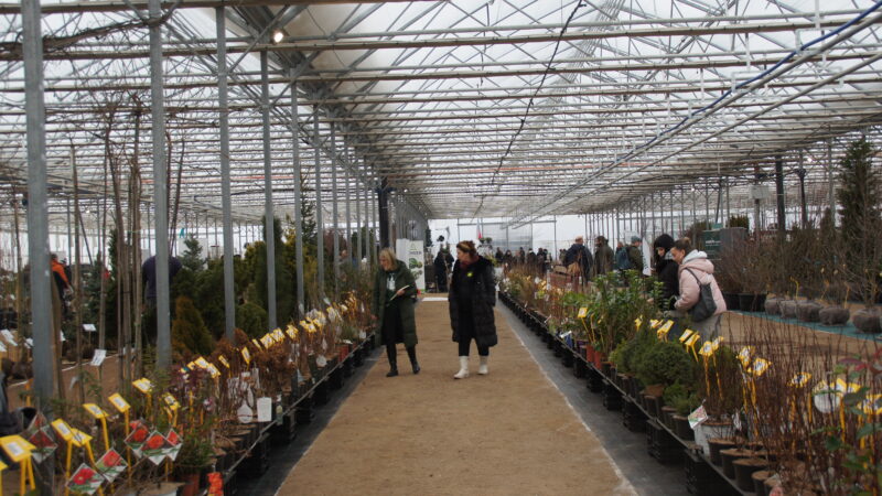 Zelená burza on-line: do 31.1.2026 / fotogalerie / SONY DSC