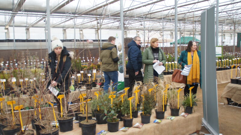 Zelená burza on-line: do 31.1.2026 / fotogalerie / SONY DSC