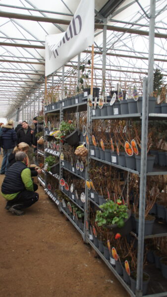 Zelená burza on-line: do 31.1.2026 / fotogalerie / SONY DSC