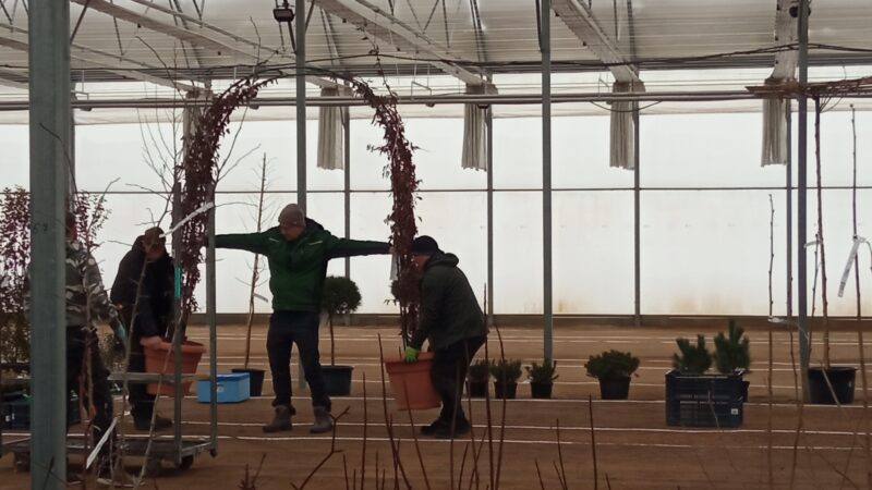 Zelená burza on-line: do 31.1.2026 / fotogalerie / IMG 20260112 102336