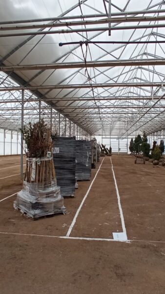 Zelená burza on-line: do 31.1.2026 / fotogalerie / IMG 20260112 102422