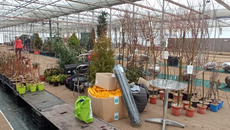 Zelená burza on-line: do 31.1.2026 / fotogalerie / IMG 20260112 102519