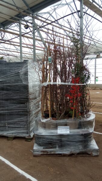 Zelená burza on-line: do 31.1.2026 / fotogalerie / IMG 20260112 102743