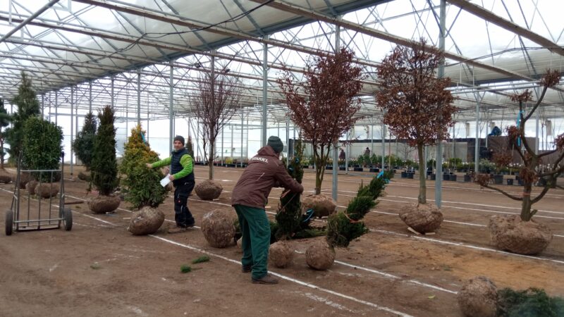 Zelená burza on-line: do 31.1.2026 / fotogalerie / IMG 20260112 102749