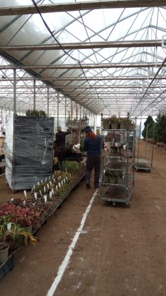 Zelená burza on-line: do 31.1.2026 / fotogalerie / IMG 20260112 141432