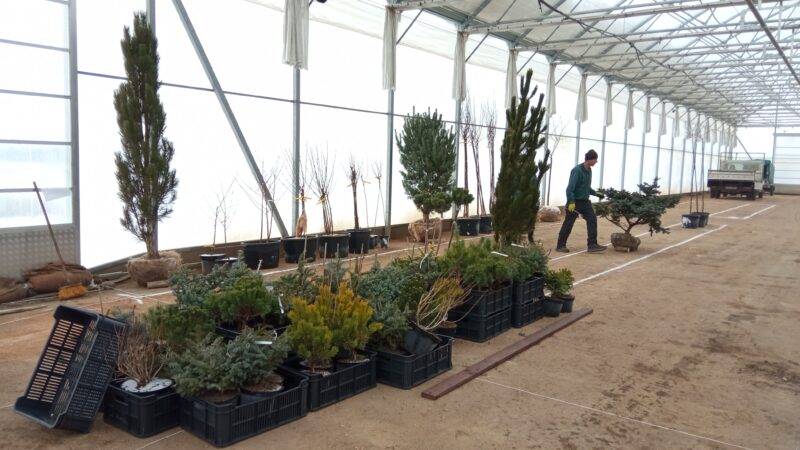 Zelená burza 2026 začíná / fotogalerie / IMG 20260112 141550