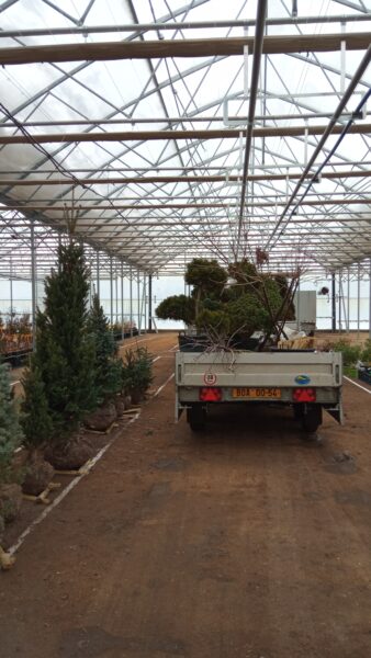 Zelená burza on-line: do 31.1.2026 / fotogalerie / IMG 20260112 141641 Kopie