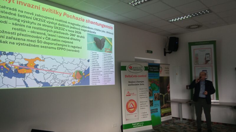 Část prezentací ze Školkařských dnů 2026 / fotogalerie / IMG 20260212 145259