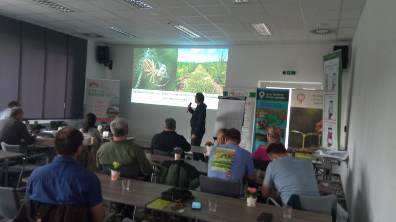 Část prezentací ze Školkařských dnů 2026 / fotogalerie / IMG 20260213 102434