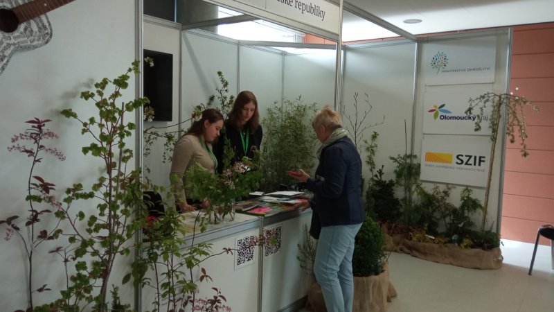 Jarní Flora Olomouc – tóny Flory / fotogalerie / IMG 20260423 092716