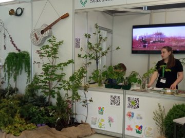 Jarní Flora Olomouc – tóny Flory