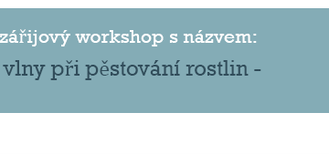 Workshop: Využití ovčí vlny při pěstování rostlin – Lednice