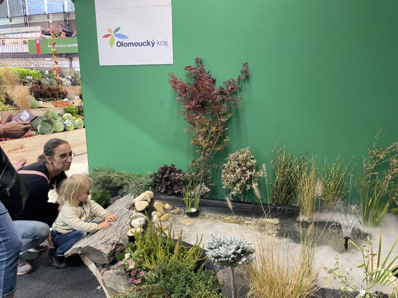 Podzimní Flora Olomouc – Hortikomplex 2026 / fotogalerie / IMG 4910
