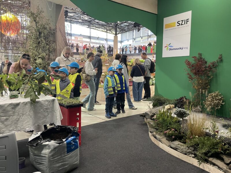 Podzimní Flora Olomouc – Hortikomplex 2026 / fotogalerie / IMG 4929