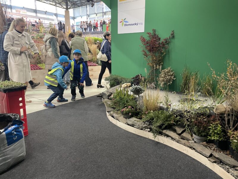 Podzimní Flora Olomouc – Hortikomplex 2026 / fotogalerie / IMG 4930