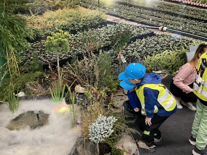 Podzimní Flora Olomouc – Hortikomplex 2026 / fotogalerie / IMG 4932