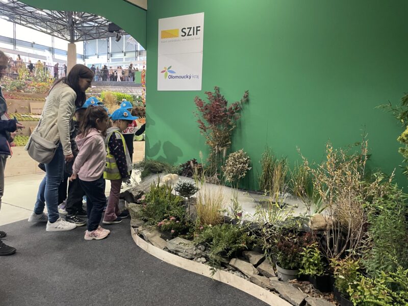 Podzimní Flora Olomouc – Hortikomplex 2026 / fotogalerie / IMG 4944