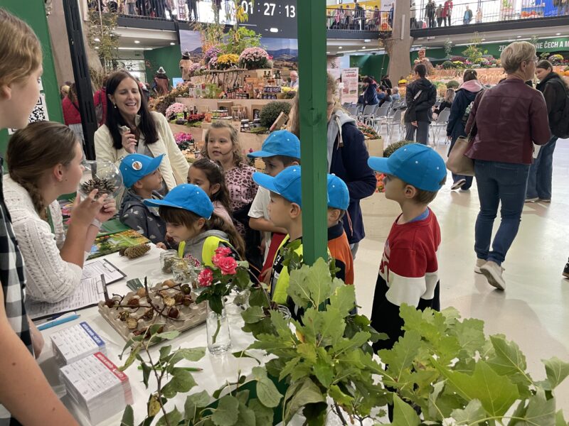 Podzimní Flora Olomouc – Hortikomplex 2026 / fotogalerie / IMG 4945