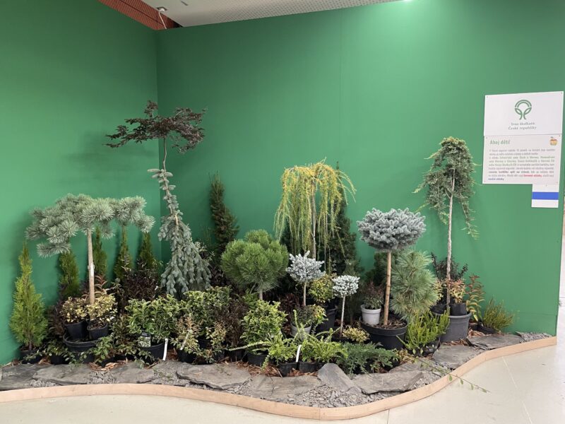 Podzimní Flora Olomouc – Hortikomplex 2026 / fotogalerie / IMG 4953