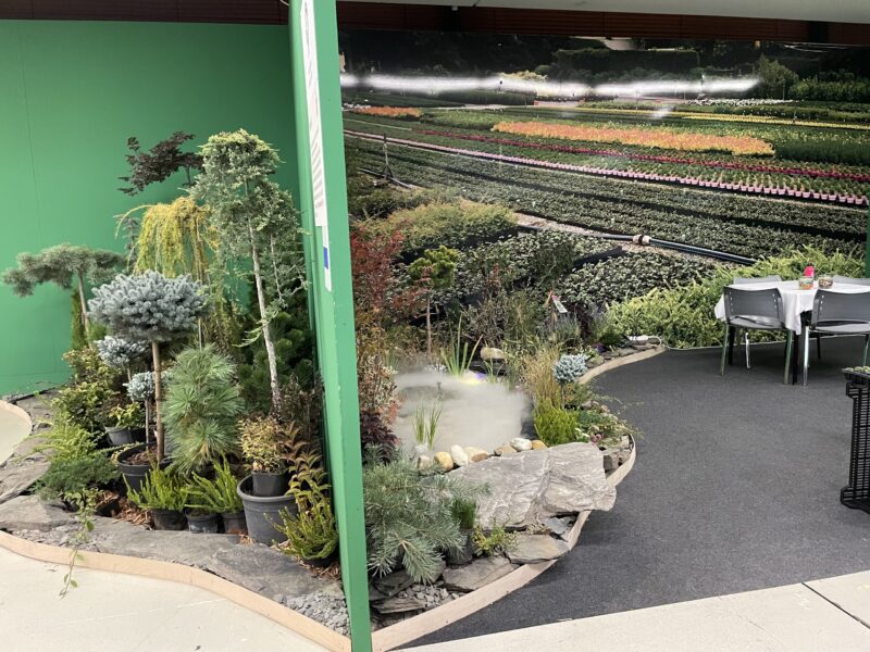 Podzimní Flora Olomouc – Hortikomplex 2026 / fotogalerie / IMG 4956