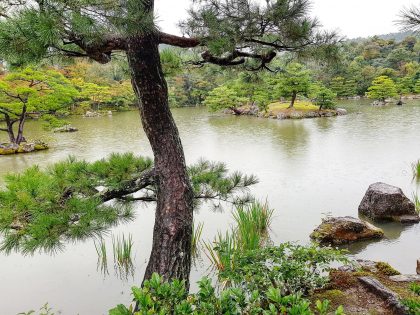 Japonsko 2017 – odborná exkurze / fotogalerie / 22426357_1714259791967064_1588137443782719520_o